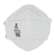 Disposable N95 Respirator - Single Fold Flat Dust Mask