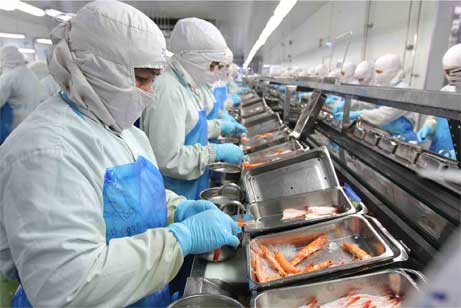 Essential Supplies For Food Processing And Manufacture   Ppe For Food Industry 